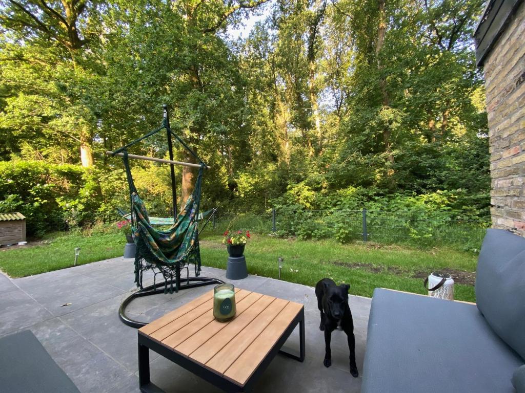 Tuin
